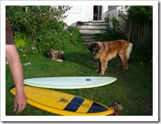 bonzers2007 011