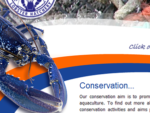 An example of outstanding web design in Cornwall - national Lobster Hatchery, Padstow. Designed and maintained by The Drawing Board web design