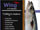 Wing of St Mawes - a market leading innovative website